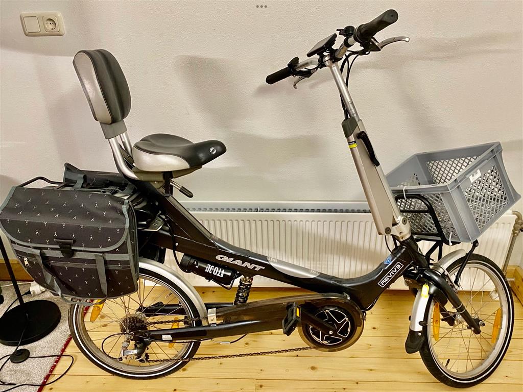 2 Elektrische Fietsen Koga Miyata Giant Revive Kopen Elektrische